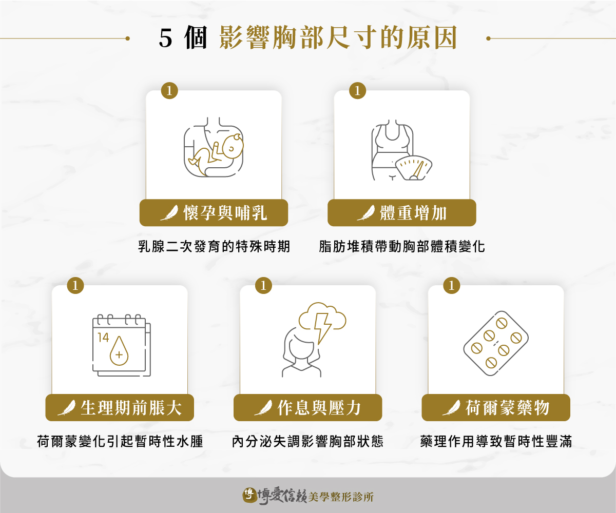 5 個影響胸部尺寸的原因:懷孕與哺乳、體重增加、生理期前脹大、作息與壓力、荷爾蒙藥物