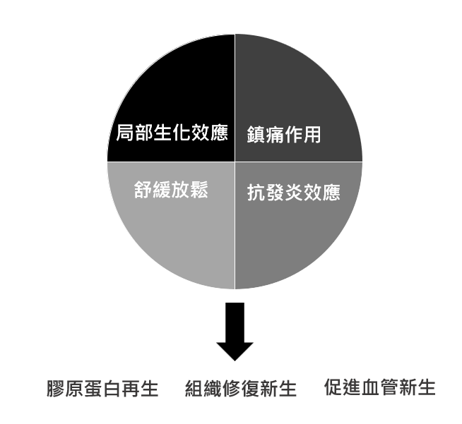 LPG 體態美療